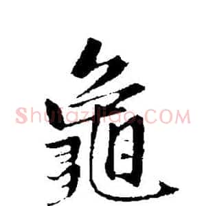 龟