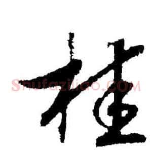 桂