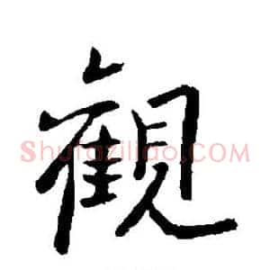 观