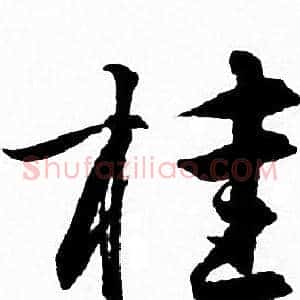 桂