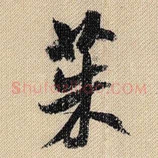茱
