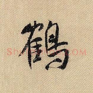 鹤