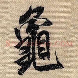 龟
