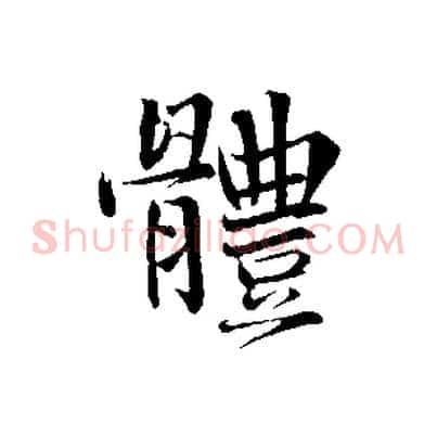 體
