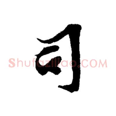 司