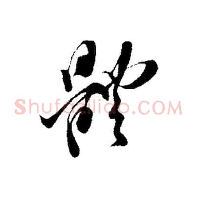 體