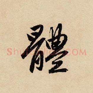 体