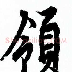 领