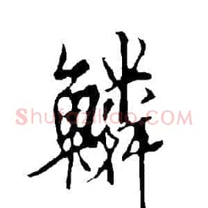 鱗