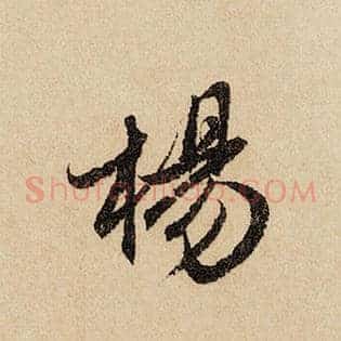 杨