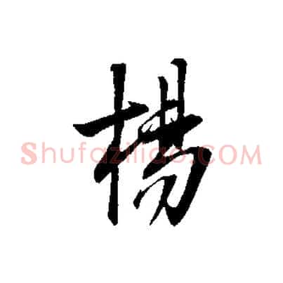 楊