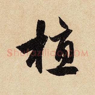 植