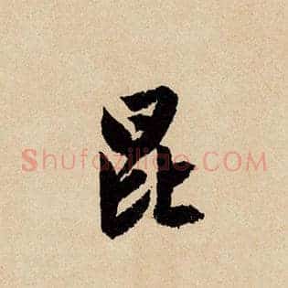 昆