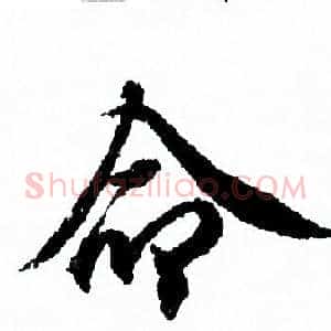 命