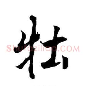 牡