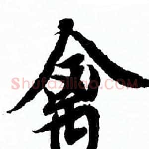 禽