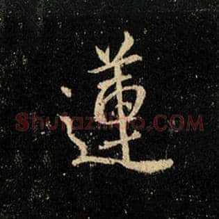 莲