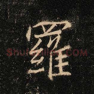 罗