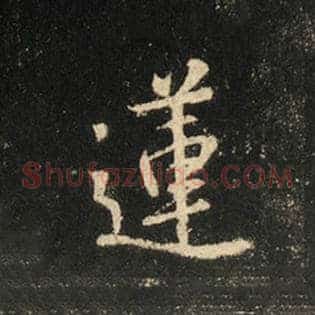莲