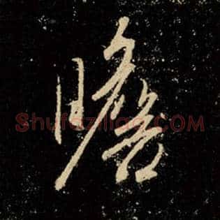瞻