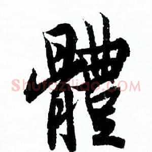 體