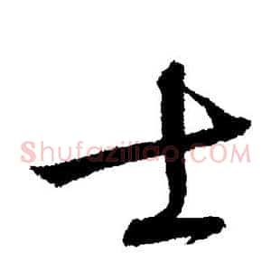 士