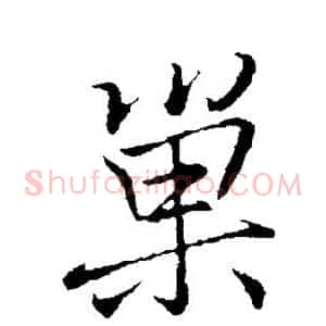 巢