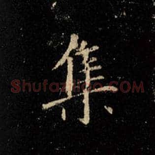 集