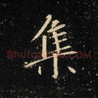 集