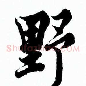 野
