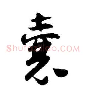 囊
