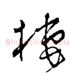 棲