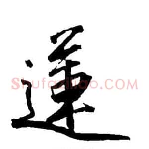 莲