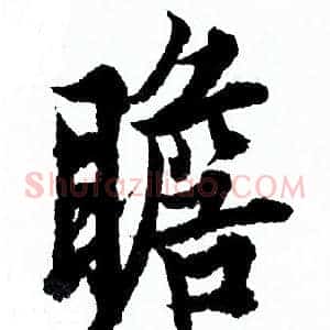 瞻