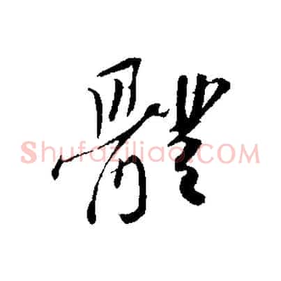 體