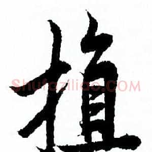 植