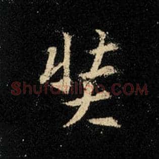 奘