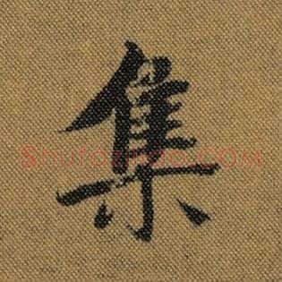 集