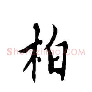 柏