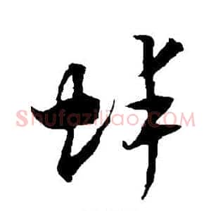 蚌