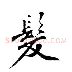 发