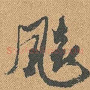 飙