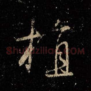 植