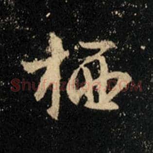 栖