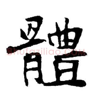 體