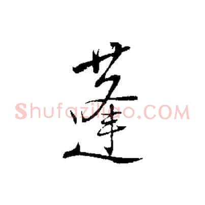 蓬
