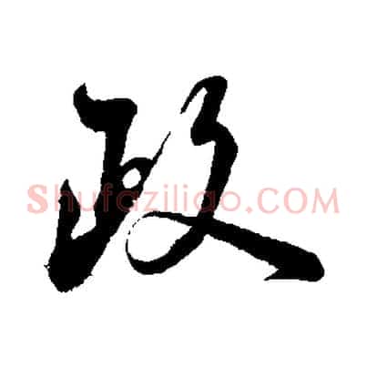 政