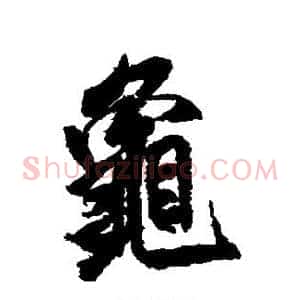 龟