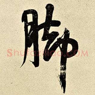 脚