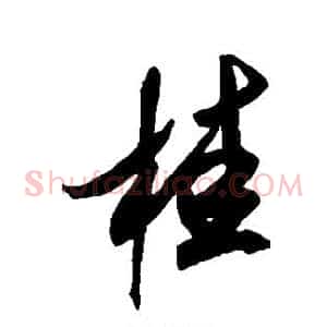 桂